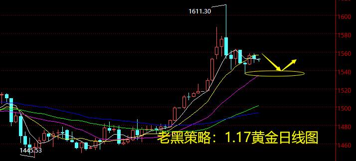 老黑策略：1.17黄金分析策略