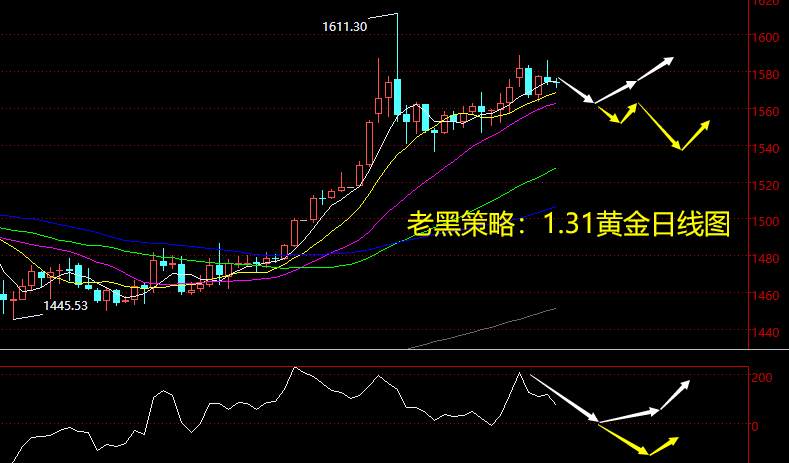 老黑策略：1.31黄金分析策略