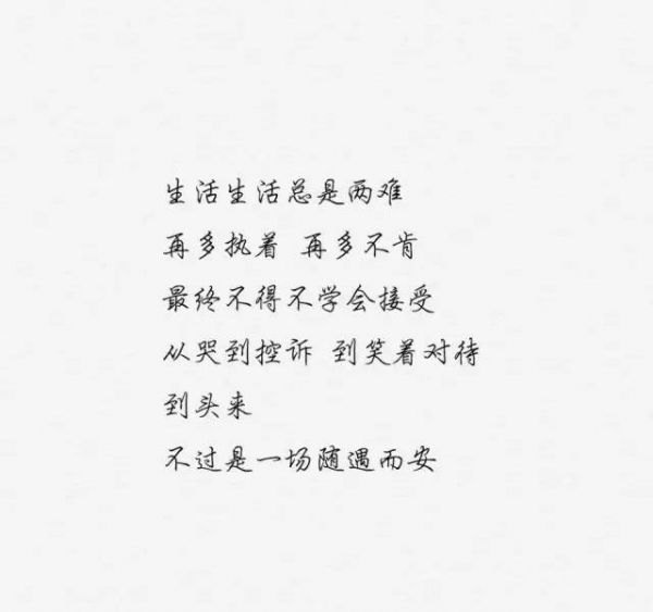 feed-image-0