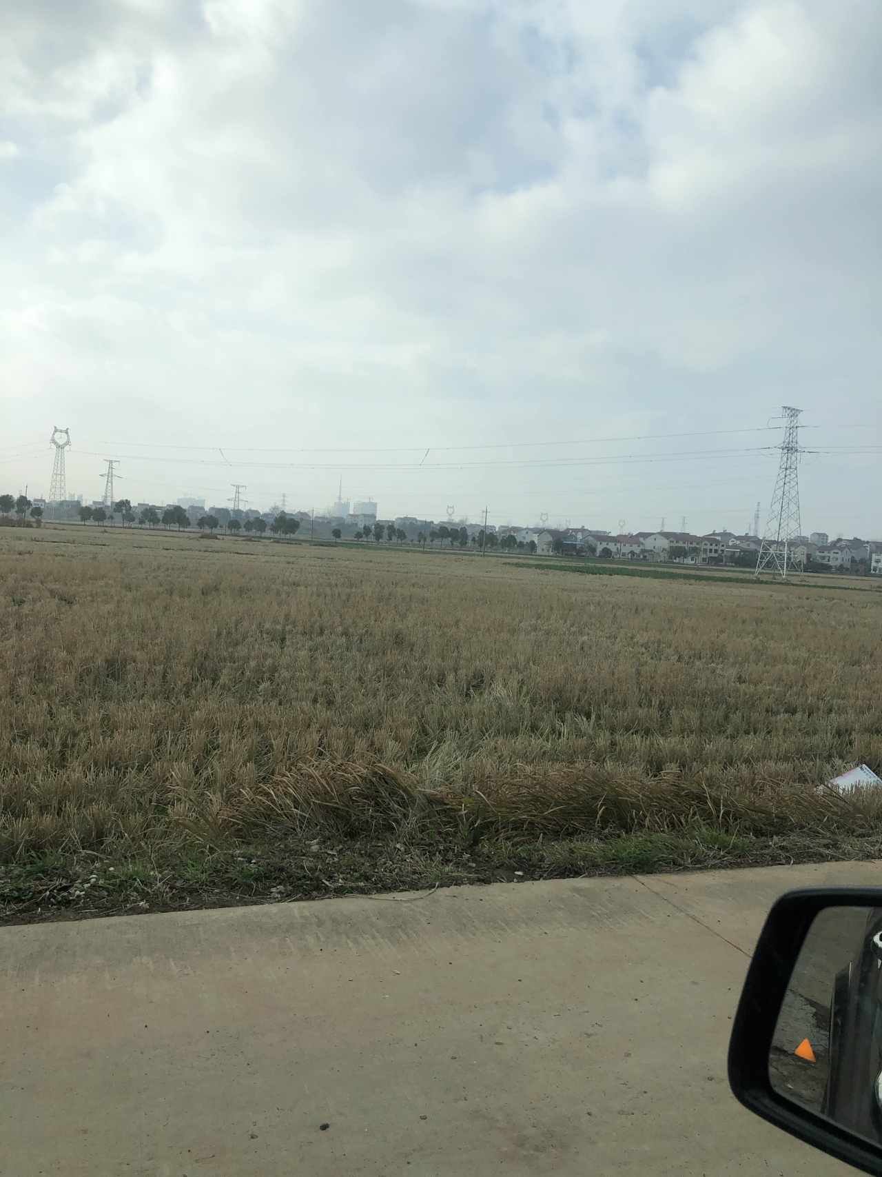 feed image