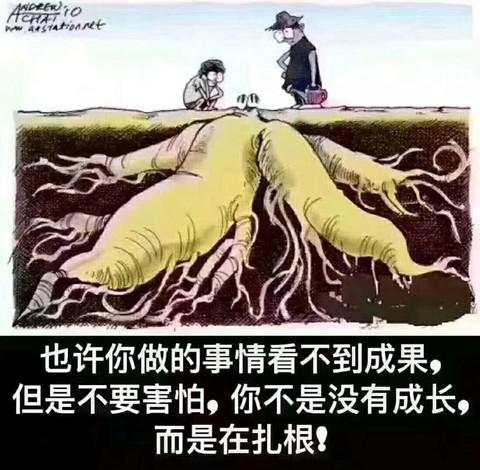 干货满满，一篇文章带你走进价值投资的世界，字典式的理论宝库