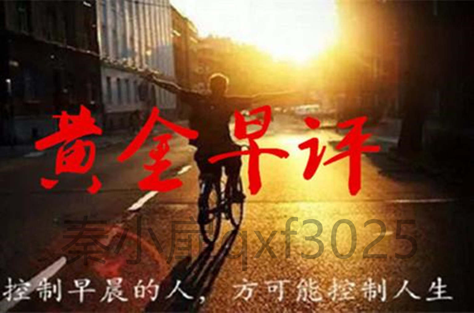 秦小扉：1月15日黄金全天操作建议