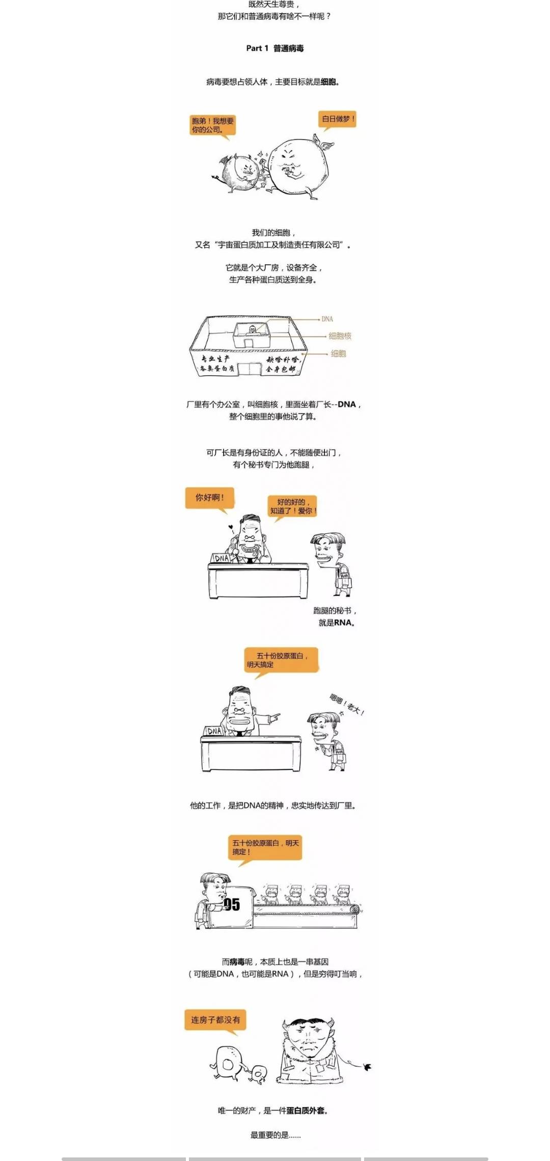 老张侃侃之年度总结篇