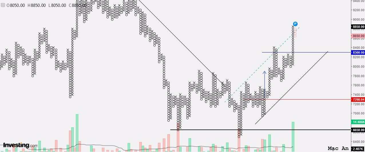 Thị trường crypto theo góc nhìn đồ thị P&F 15/01: Phá vỡ