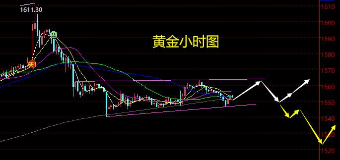 老黑策略：1.13晚盘黄金分析策略