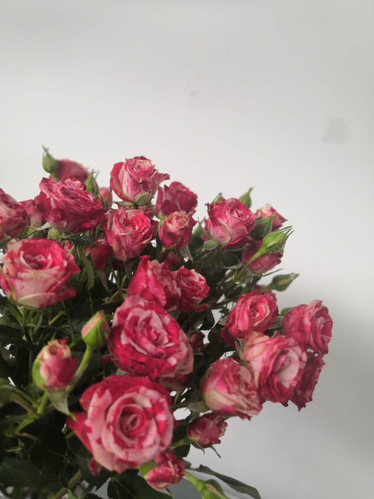 打造一套完整交易系统的必要条件（交易团队同样适用）