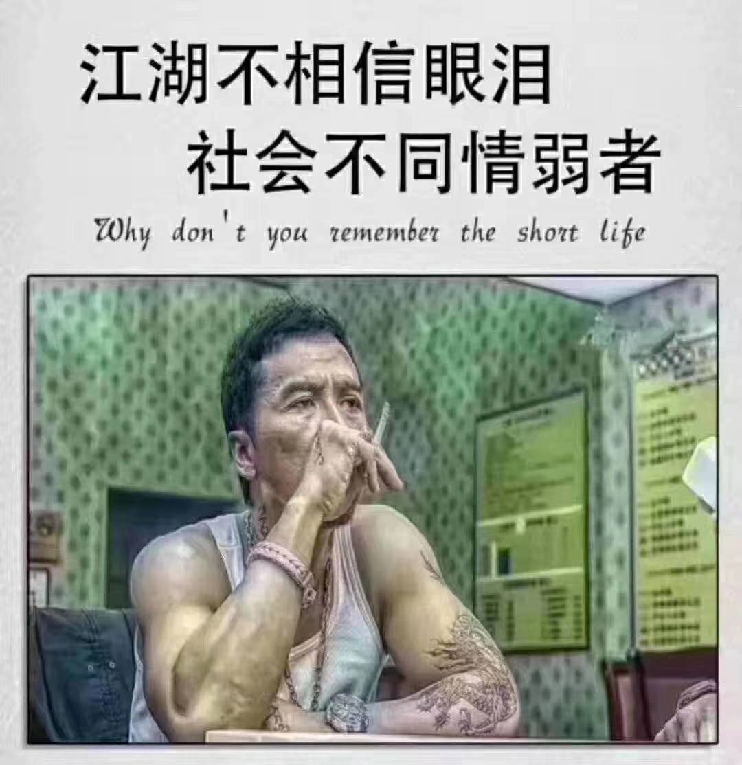 当头一棒！击杀了我这头贪婪的蠢猪