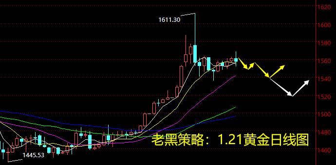 老黑策略：1.21晚盘黄金分析策略