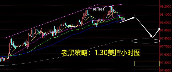 老黑策略：1.30外汇分析策略