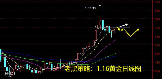 老黑策略：1.16黄金分析策略