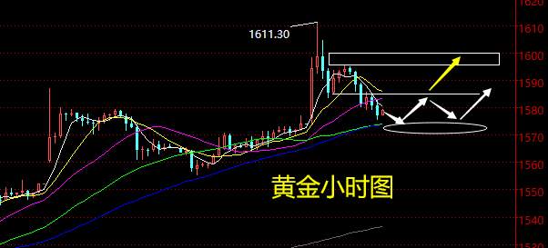 老黑策略：1.8晚盘黄金分析策略