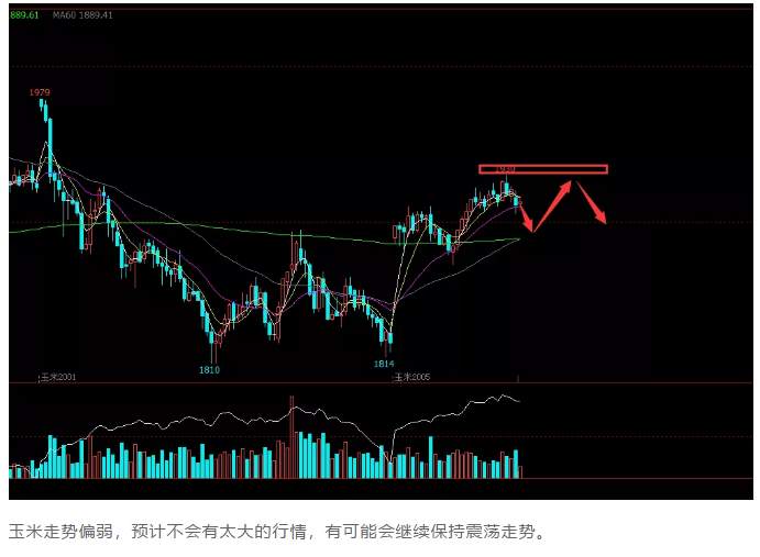 ALPHA每日洞察——2020.01.13