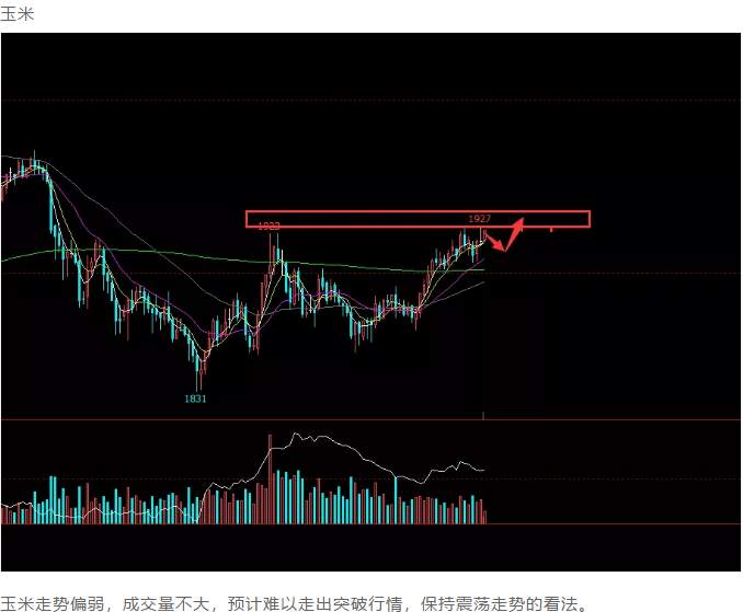 ALPHA每日洞察——2020.01.15