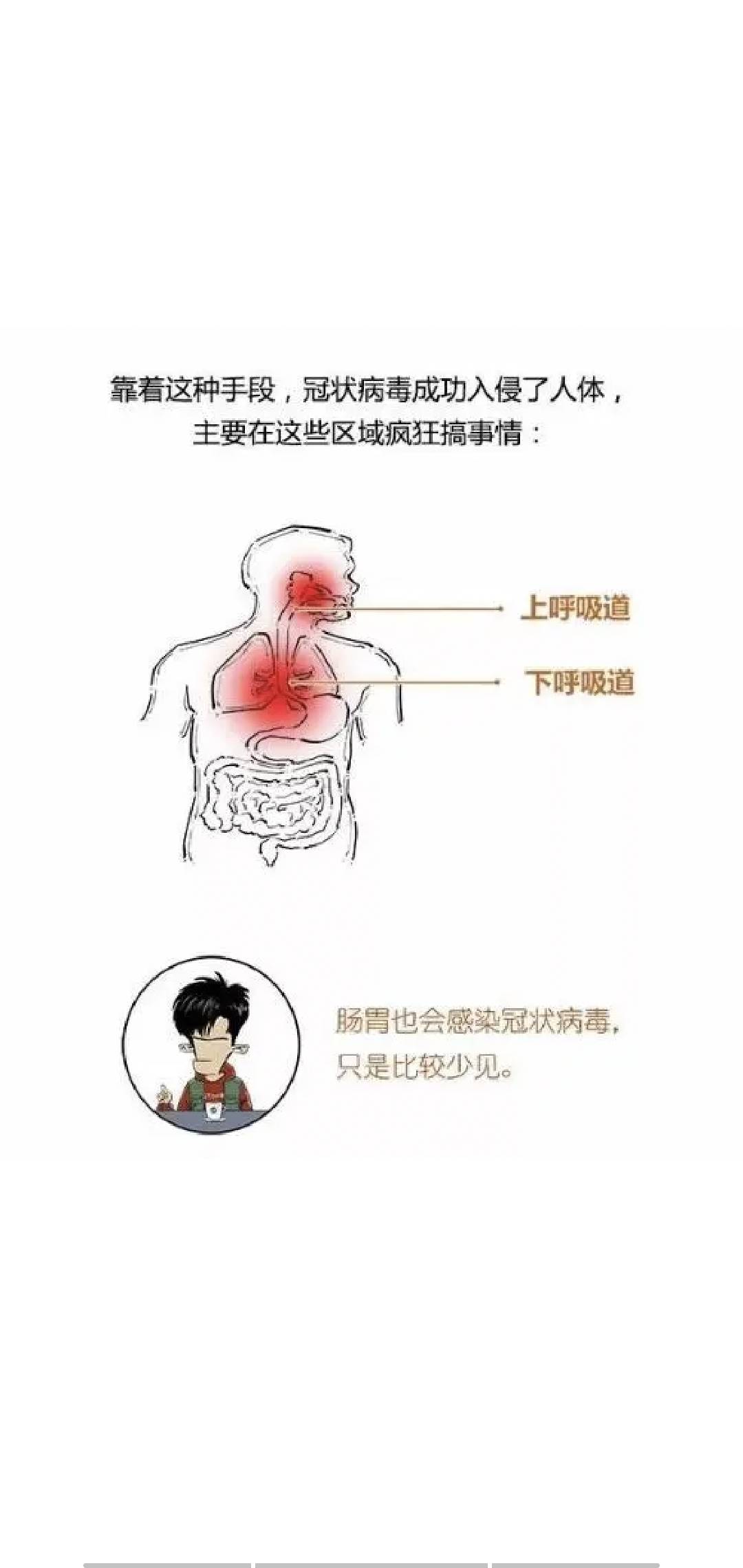 老张侃侃之年度总结篇