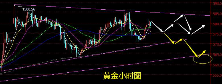 老黑策略：1.31晚盘黄金分析策略