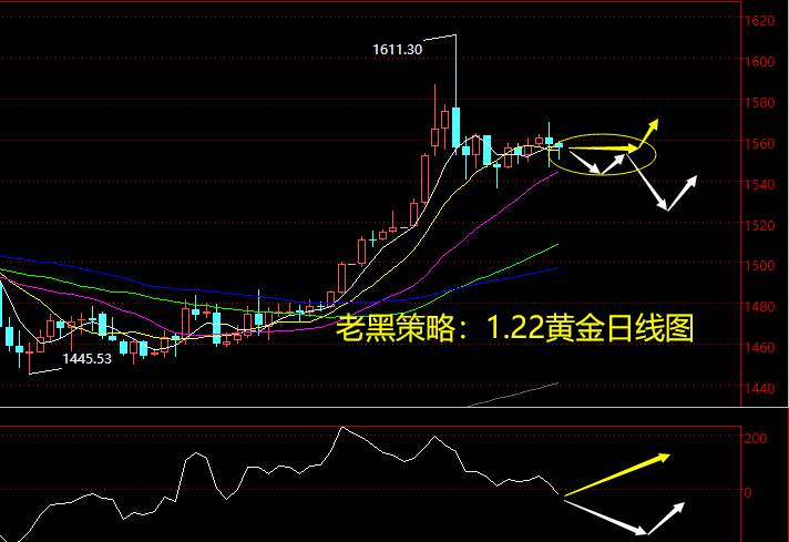 老黑策略：1.22晚盘黄金分析策略
