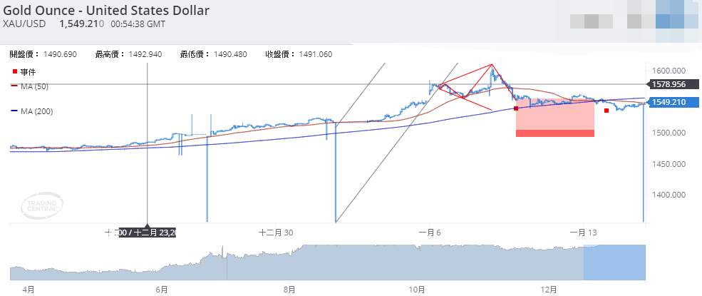 feed-image-1