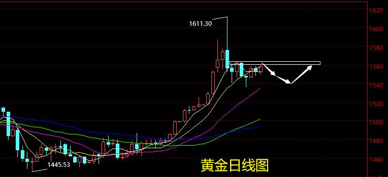 老黑策略：1.17晚盘黄金分析策略