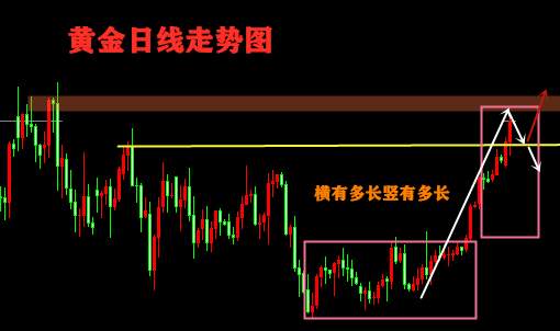 杨嘉壹：1.3地缘政治激发黄金无限可能！后市黄金行情详细解读
