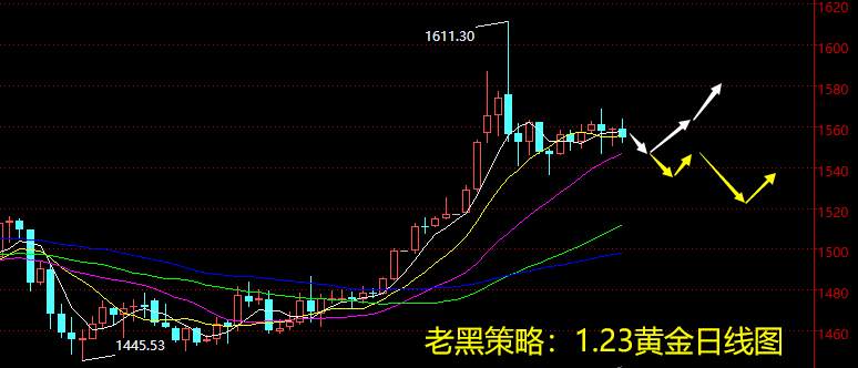 老黑策略：1.23晚盘黄金分析策略