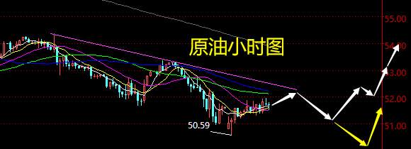 老黑策略：2.3晚盘原油分析策略