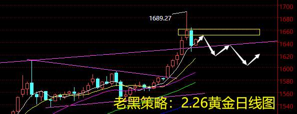 老黑策略：2.26黄金分析策略