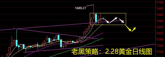 老黑策略：2.28黄金分析策略