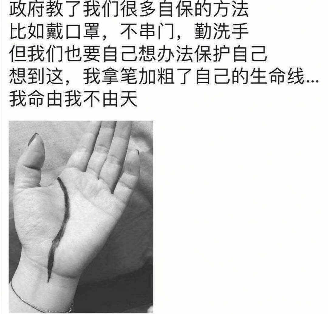 feed image