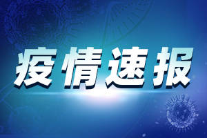 病例 临床 诊断 黄冈市 荆州市 咸宁市