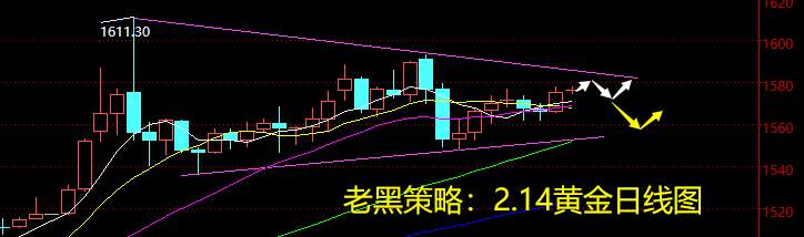老黑策略：2.14黄金分析策略