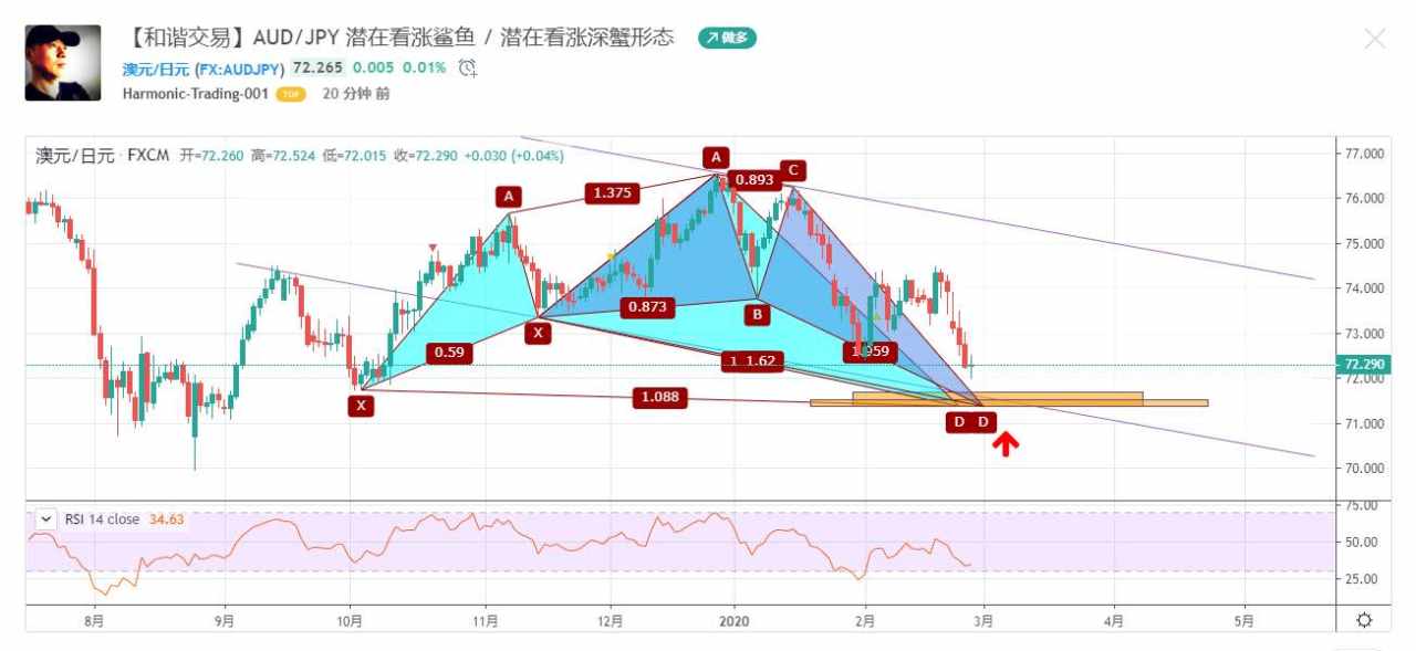 形态 交易 交易规则 鲨鱼 看涨 决策