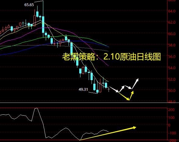 老黑策略：2.10原油分析策略
