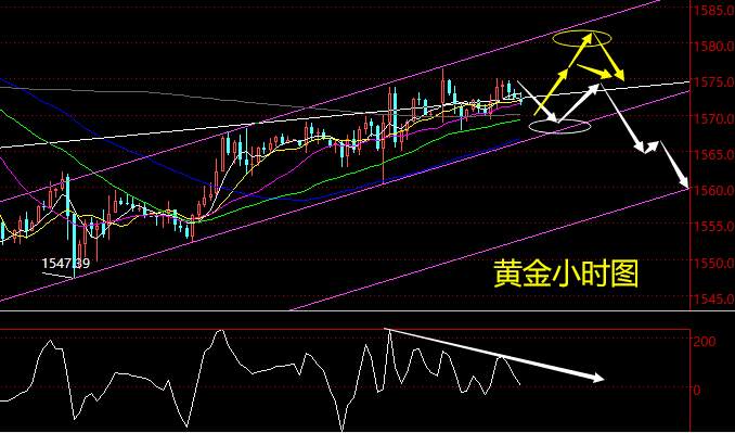 老黑策略：2.10晚盘黄金分析策略