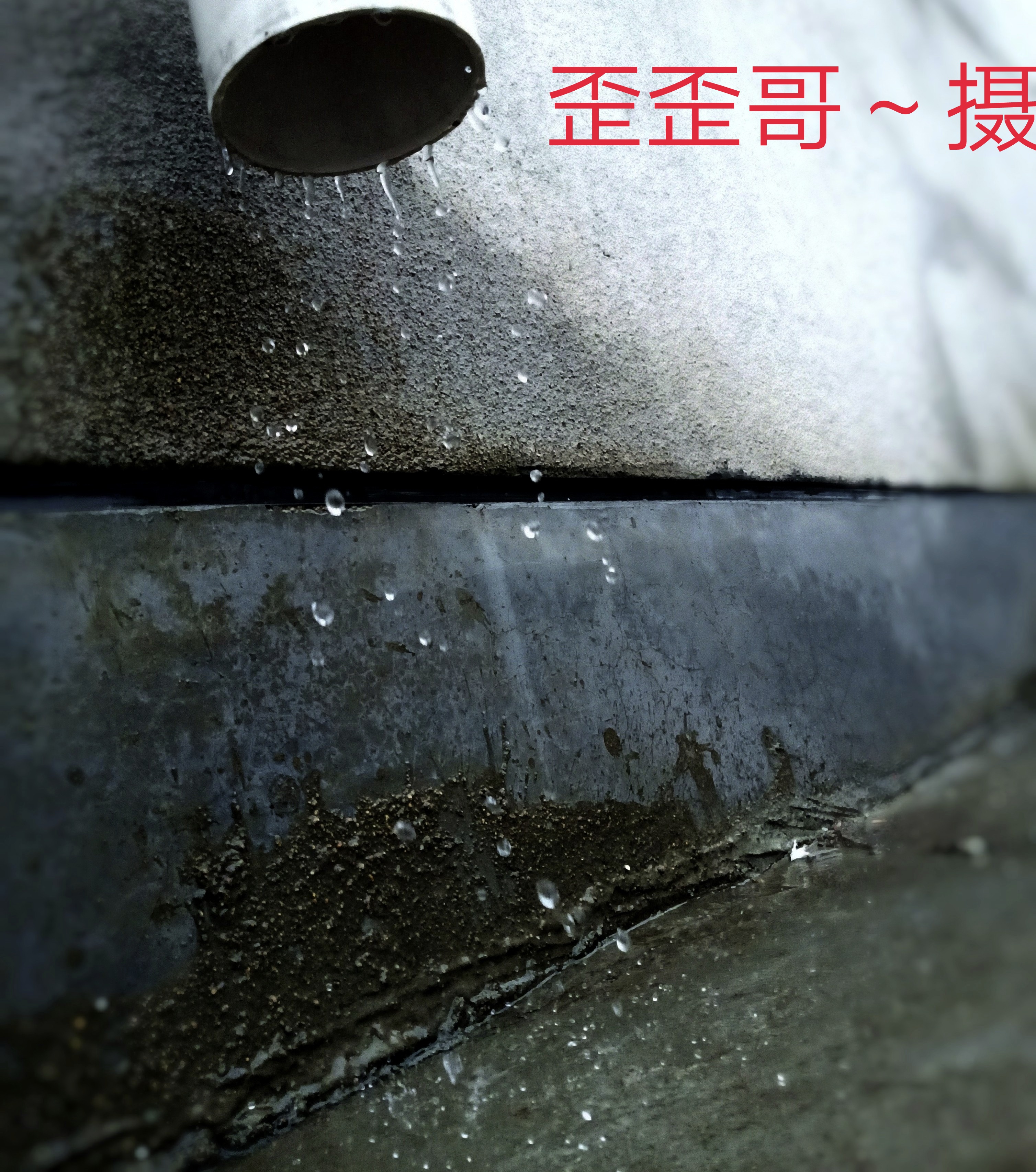 feed-image-0