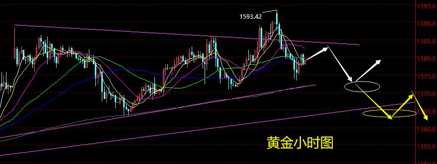 老黑策略：2.3晚盘黄金分析策略