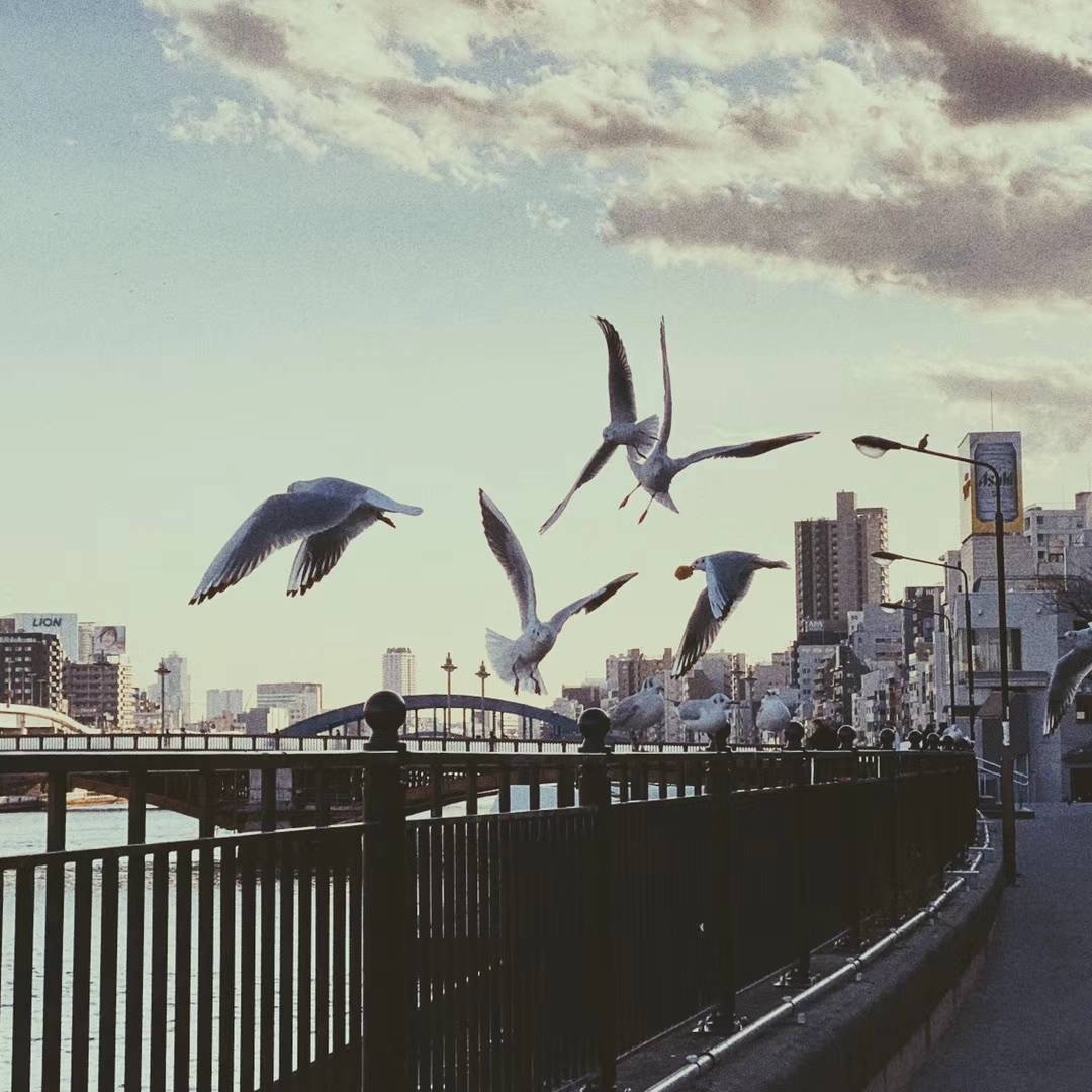 feed image