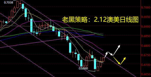 老黑策略：2.12外汇分析策略