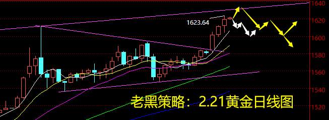 老黑策略：2.21黄金分析策略