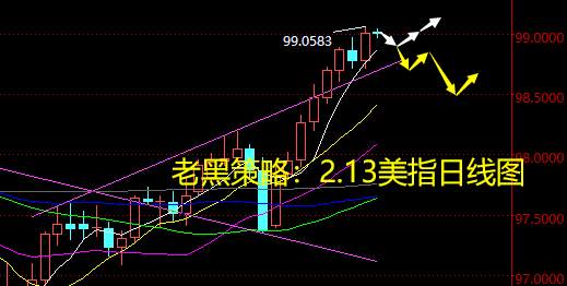 老黑策略：2.13外汇分析策略