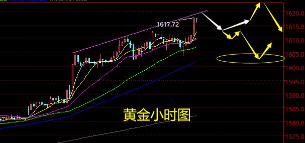 老黑策略：2.20晚盘黄金、原油分析策略