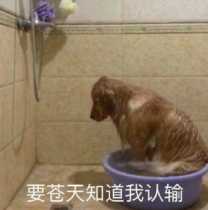 长租公寓模式面临生死挑战