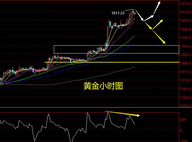 老黑策略：2.19晚盘黄金分析策略