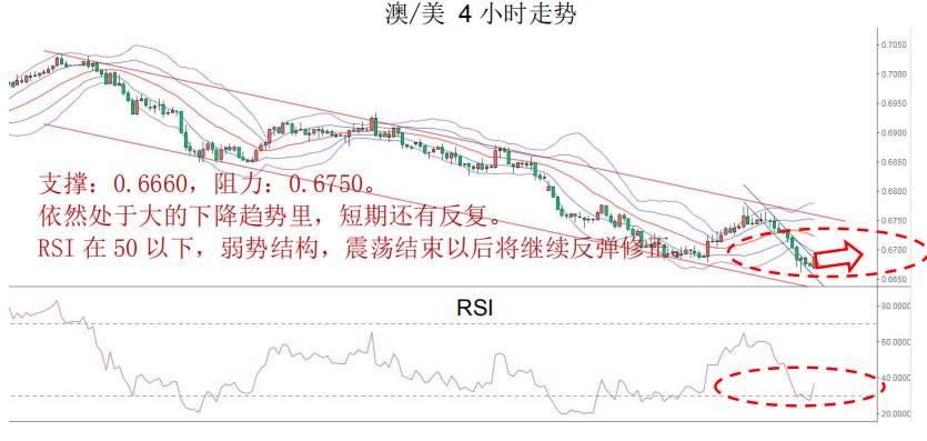 MEX Group：每日快讯（2020年2月10日）