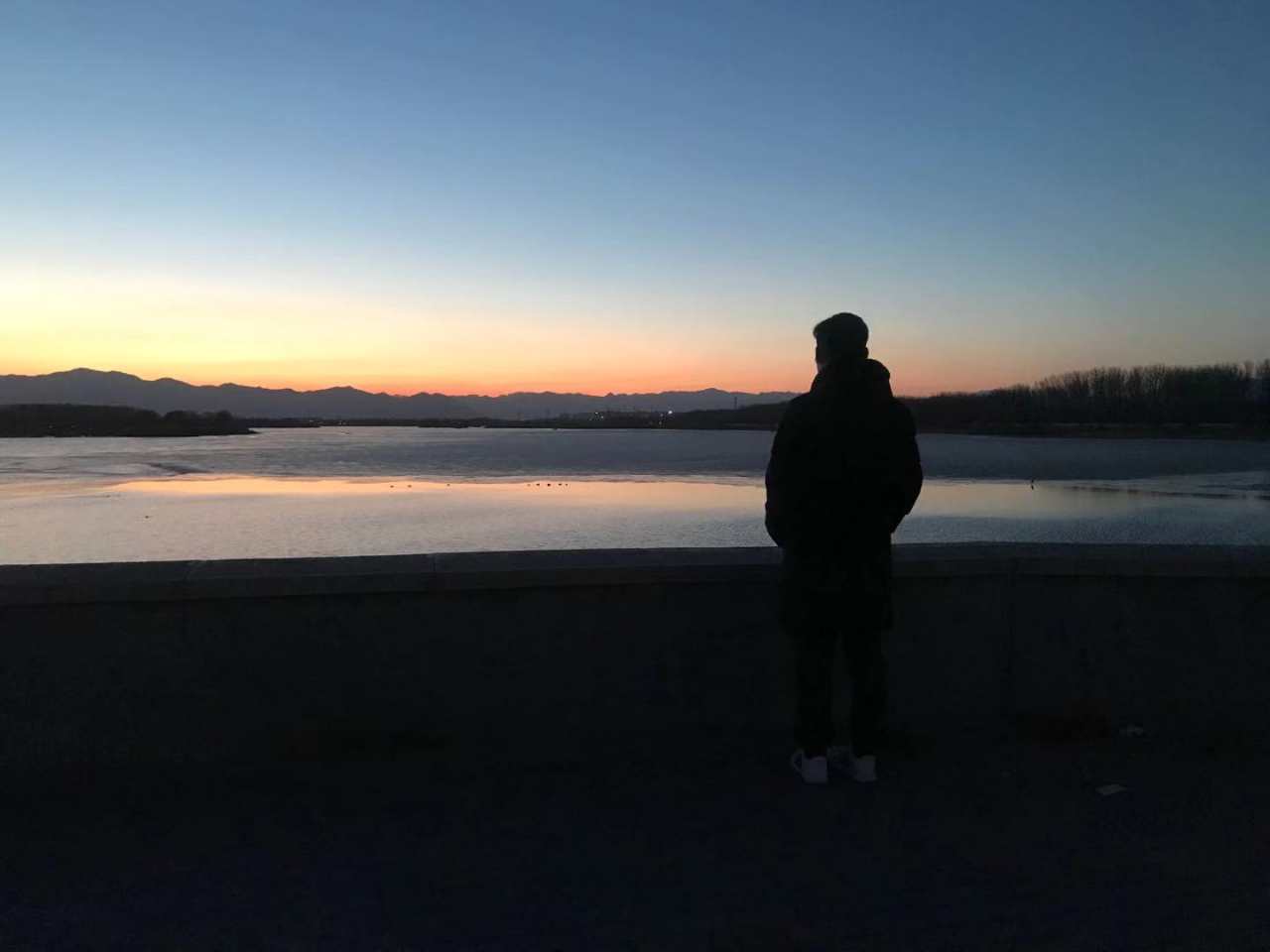 feed image