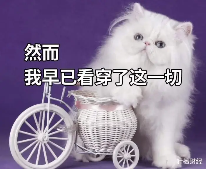 加仓是一种交易技巧