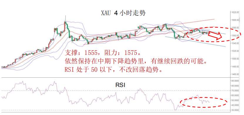 MEX GROUP：晨早快讯2020-02-13