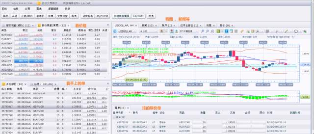 新手指南：如何开一个炒外汇的账户