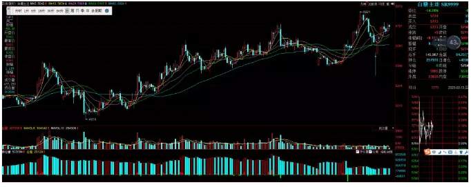 ALPHA每日洞察——2020-02-13
