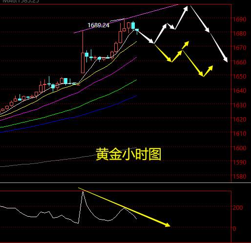 老黑策略：2.24晚盘黄金分析策略