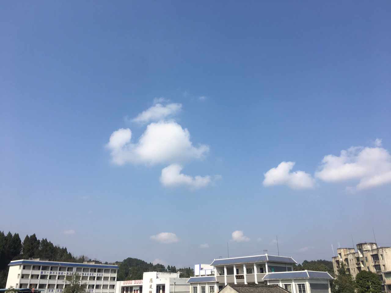 feed image